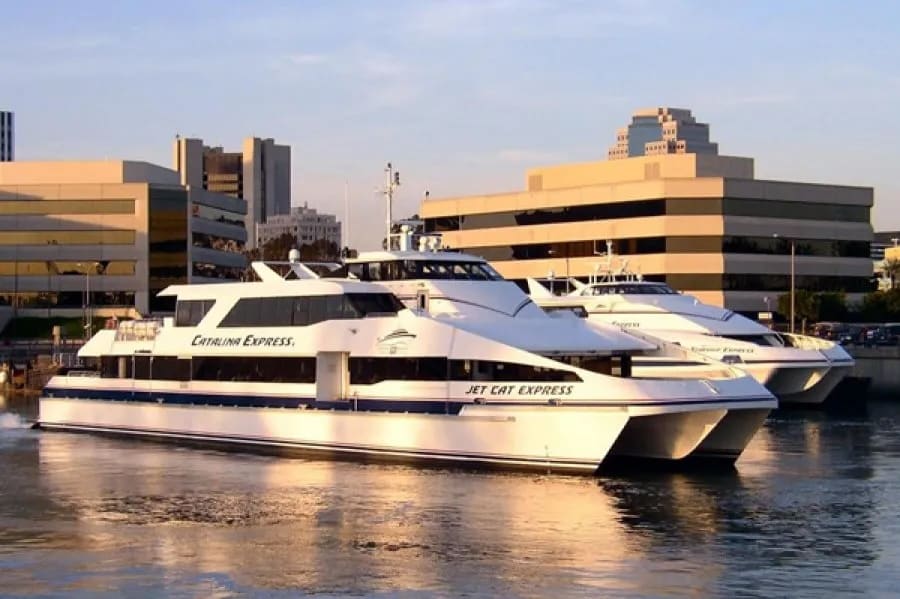 Two passenger ferries, named Catalina Express and Jet Cat Express, are docked side by side in a harbor near modern office buildings at sunset.