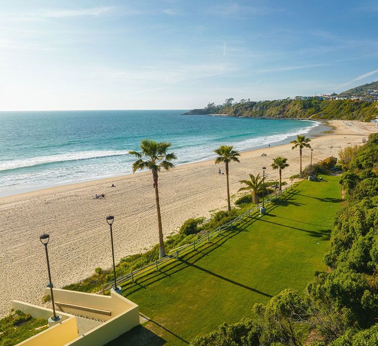 A sandy beach with a few people, bordered by green grass, palm trees, and a fence, under a clear blue sky with ocean waves in the distance.