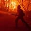 Firefighter battling intense blaze with hose, surrounded by trees and engulfed in orange flames.