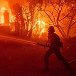 Firefighter battling intense blaze with hose, surrounded by trees and engulfed in orange flames.